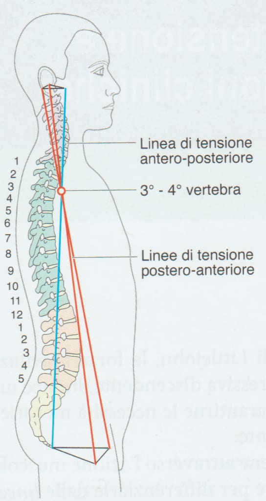 John Martin Littlejohn: Pioniere dell’Osteopatia Europea e delle Linee di Forza Tratto da libro: linee di Forza di J.M. Littlejohn e applicazioni cliniche Guolo F. e Altadonna G.