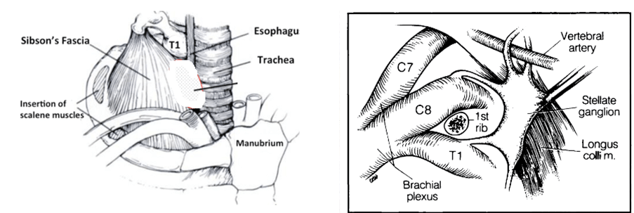 image 2 -